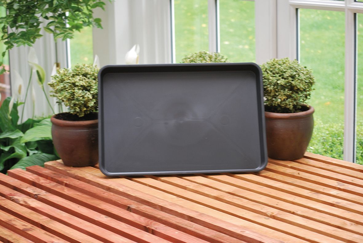 Stabile Pflanzschale 57 x 38,5 x 5 cm – ideal für Jungpflanzen, Transport & Bewässerung