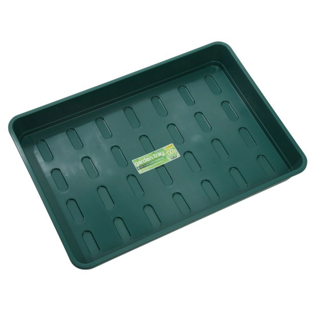 XL-Zimmergewächshaus 58 x 41 x 23 cm – stabiles Anzucht-Gewächshaus mit grüner Schale