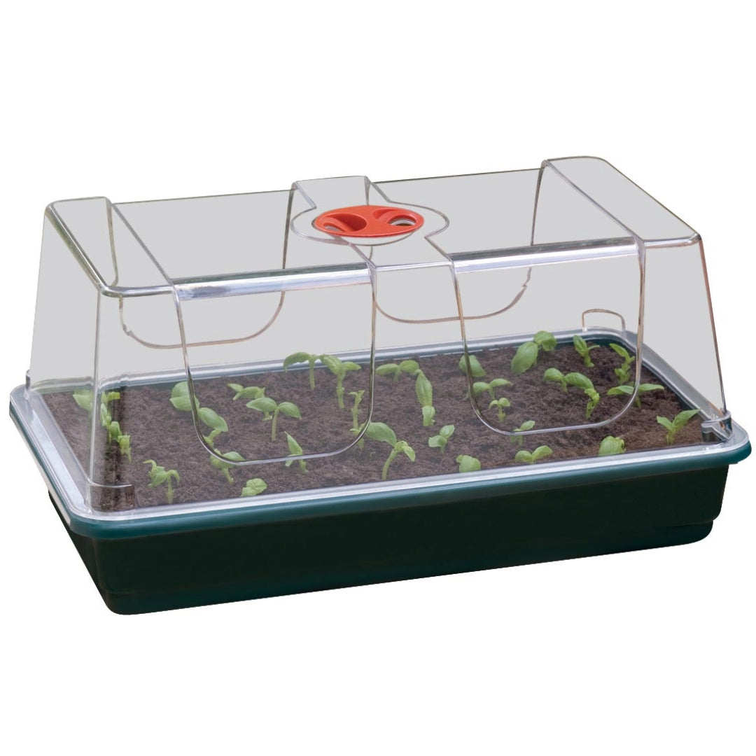 Zimmergewächshaus 38 x 23 x 18 cm – stabiles Mini-Gewächshaus mit Ablauflöchern