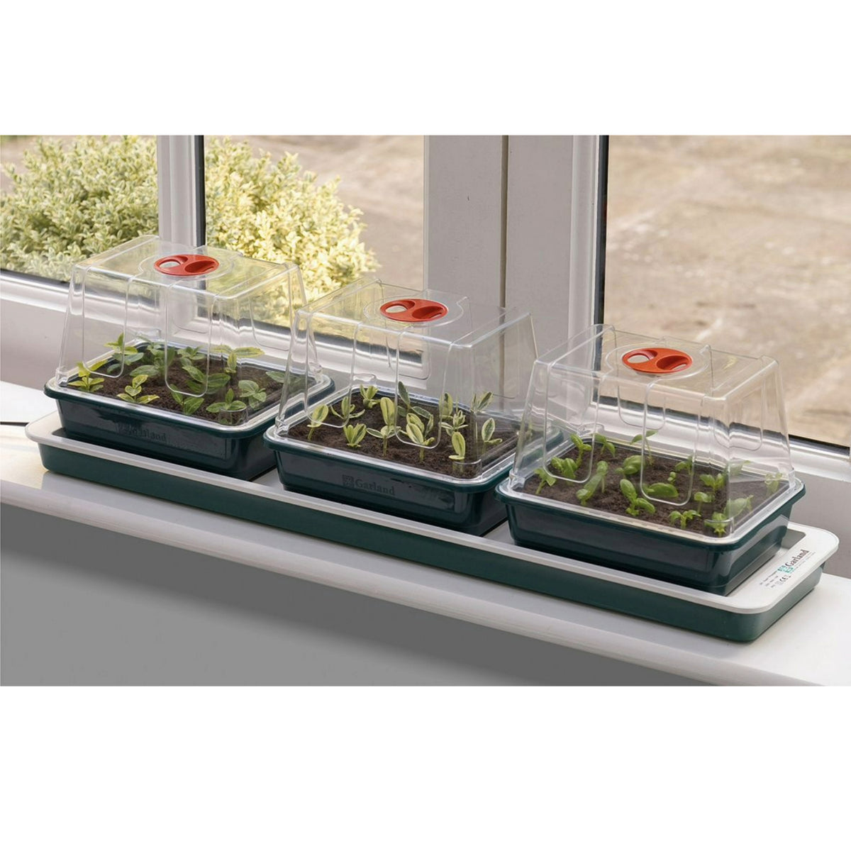 Elektrisches Zimmergewächshaus „Trio Top“ – 13-Watt-Heizplatte, 3 hohe Anzuchtkammern