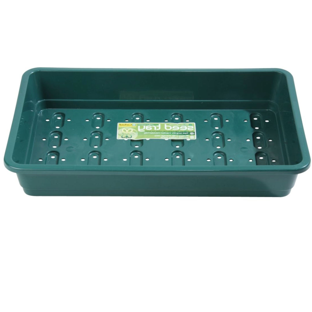 Zimmergewächshaus 38 x 23 x 18 cm – stabiles Mini-Gewächshaus mit Ablauflöchern