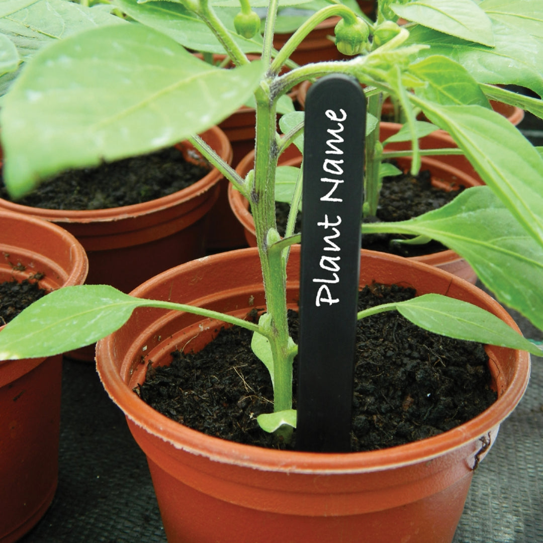 10 cm Pflanzetiketten – 25 Stück, robuste Pflanzenmarker