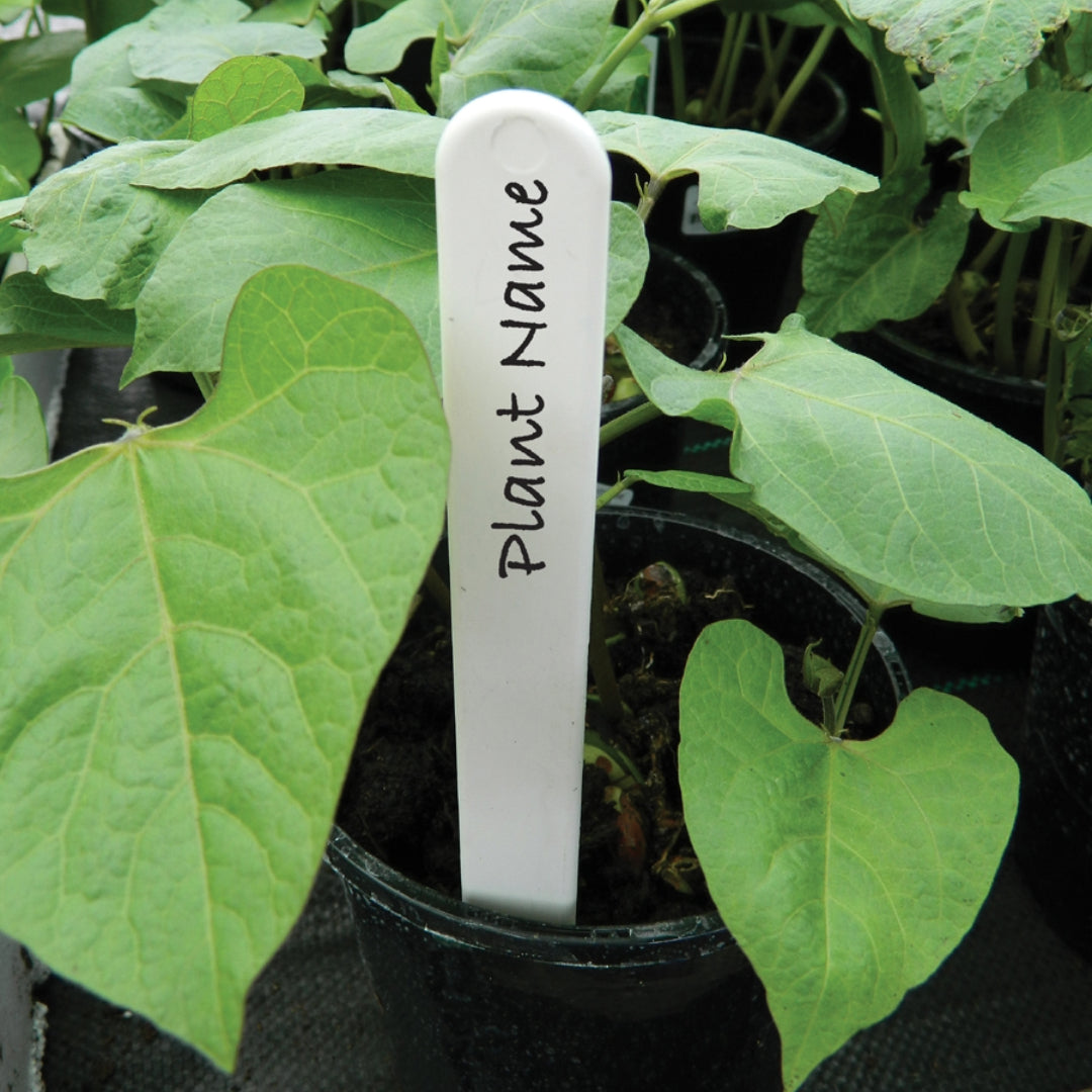 10 cm Pflanzetiketten – 50 Stück, robuste Pflanzenmarker