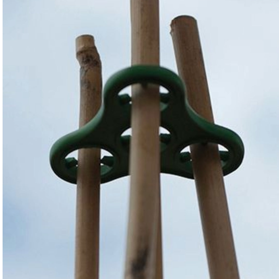 Plant Halos 3er-Set – Wasserspeicher & Stützhilfe