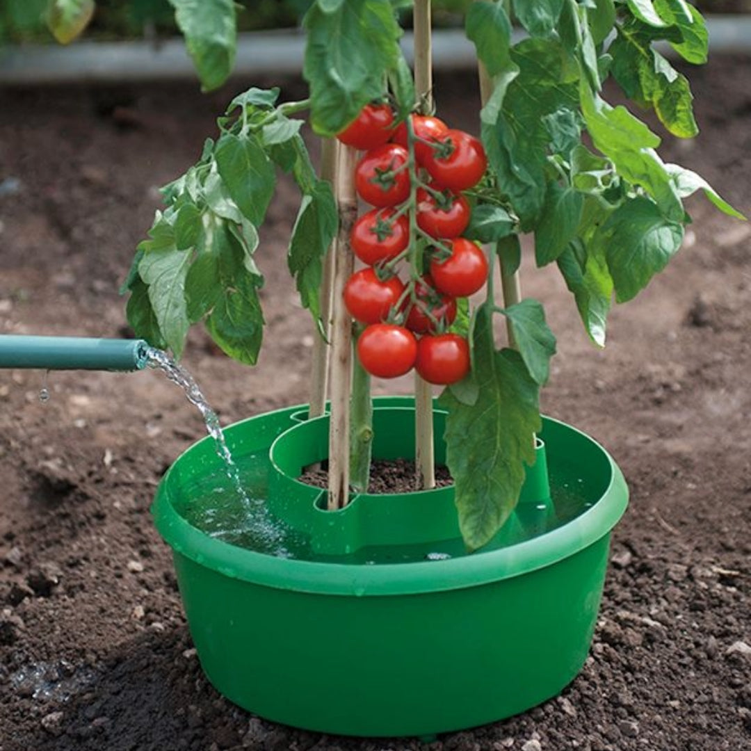 Plant Halos 3er-Set – Wasserspeicher & Stützhilfe