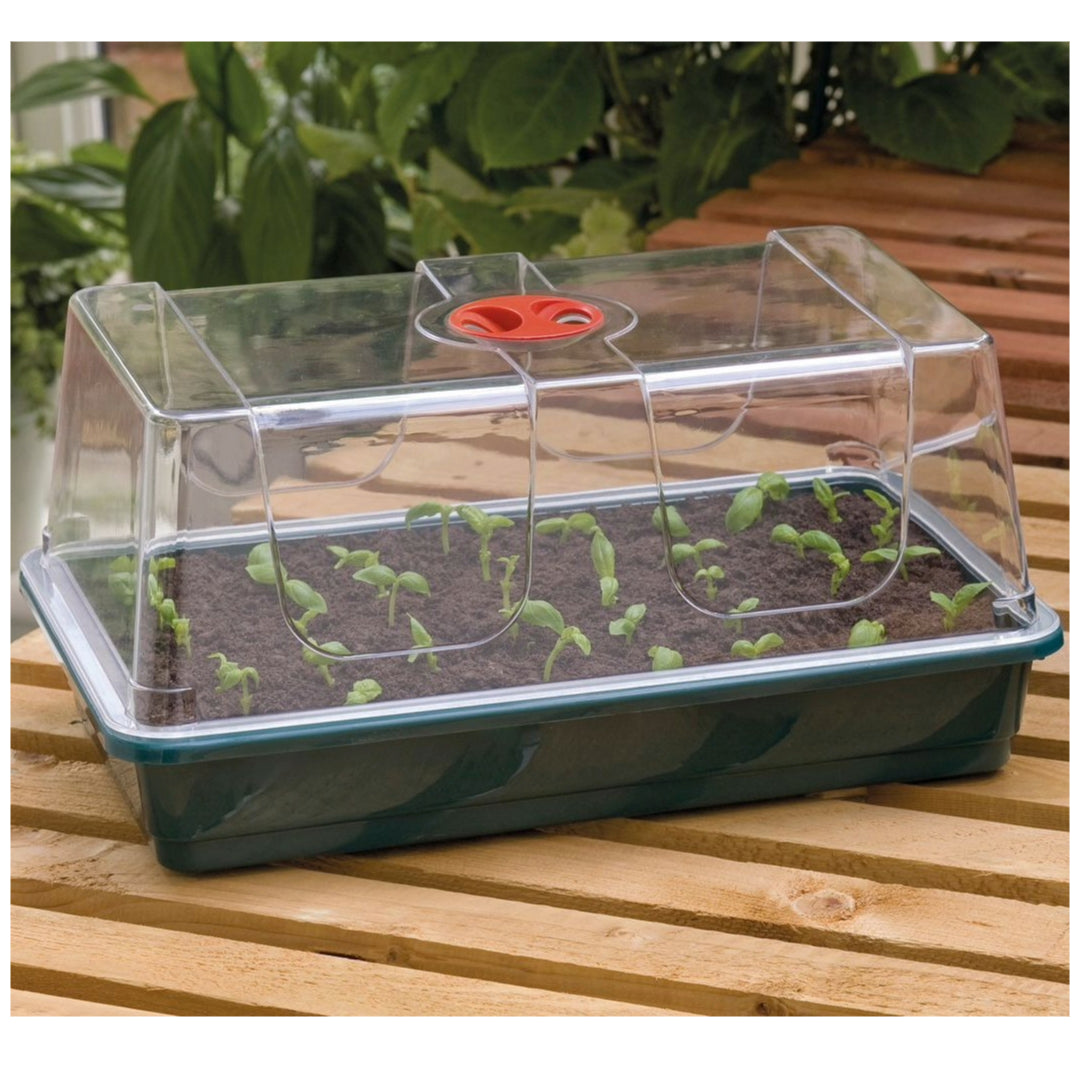 Zimmergewächshaus 38 x 23 x 18 cm – stabiles Mini-Gewächshaus mit grüner Schale