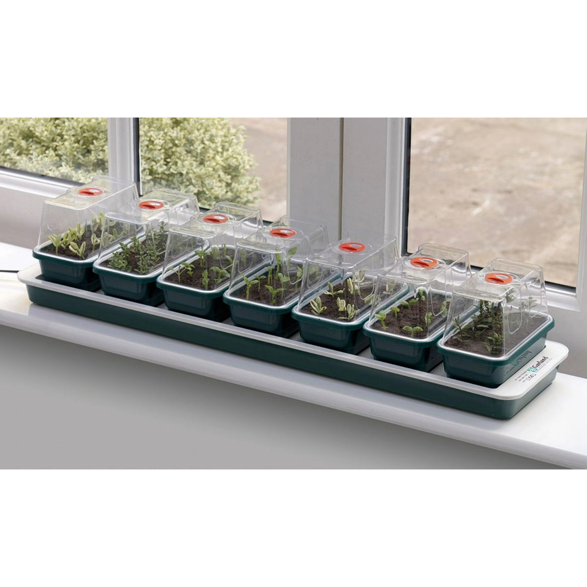 Elektrisches Zimmergewächshaus „Super 7“ – 7 Mini-Gewächshäuser, 13-Watt-Heizsockel