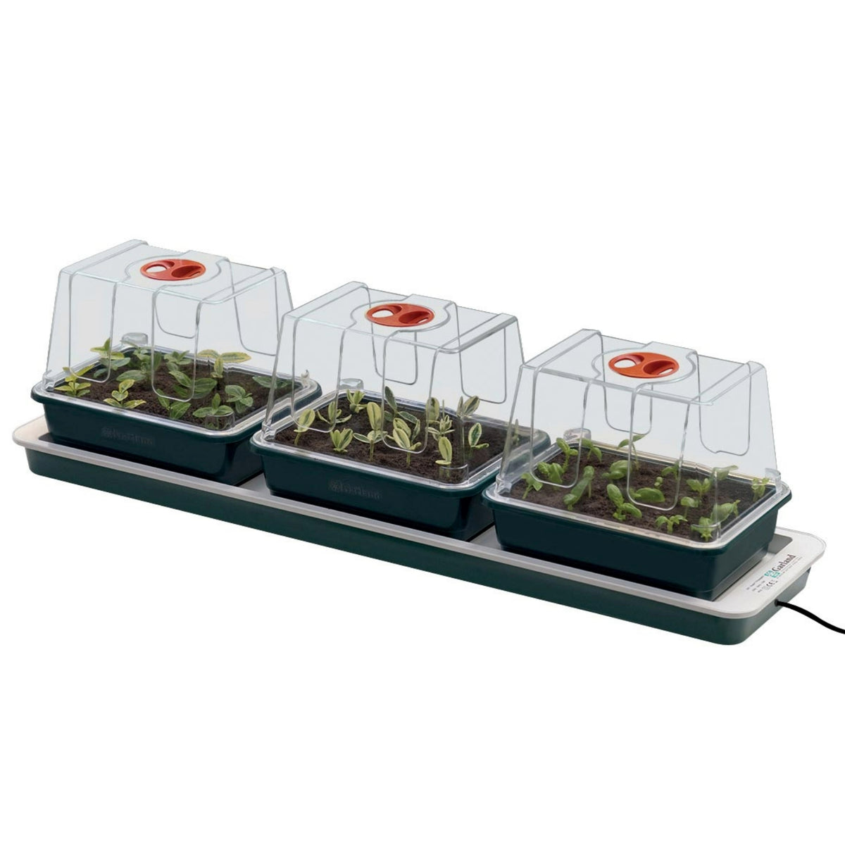 Elektrisches Zimmergewächshaus „Trio Top“ – 13-Watt-Heizplatte, 3 hohe Anzuchtkammern