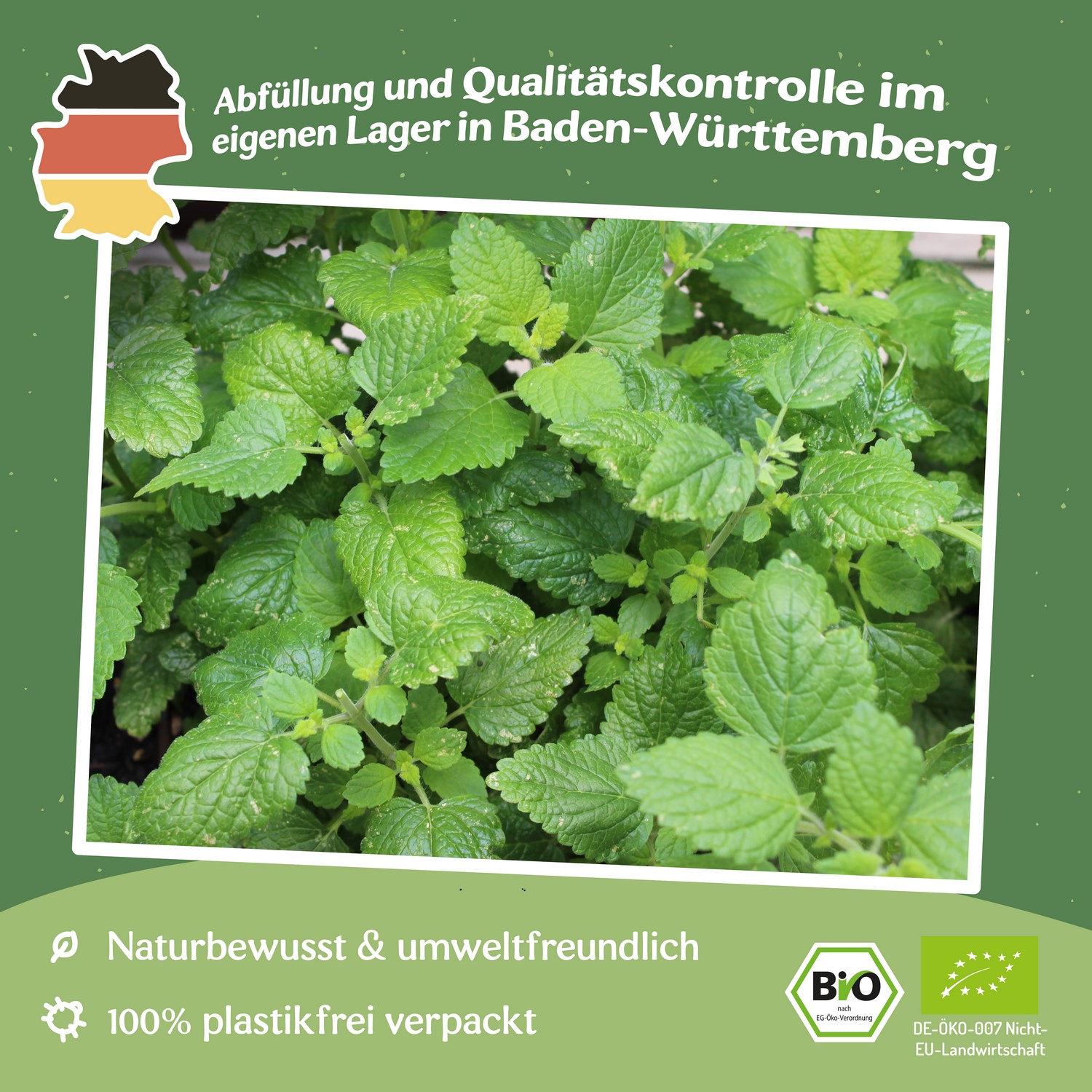 MHD 06/25 Bio-Zitronenmelisse Samen, Melissa officinalis