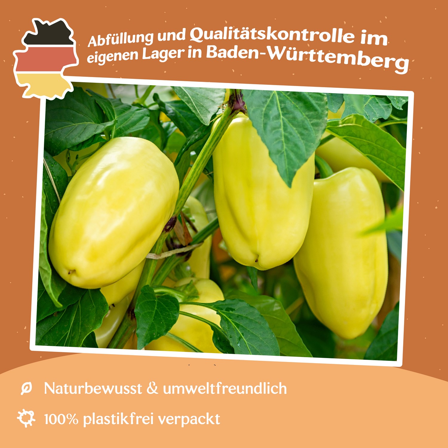 Paprika Pusztagold Samen