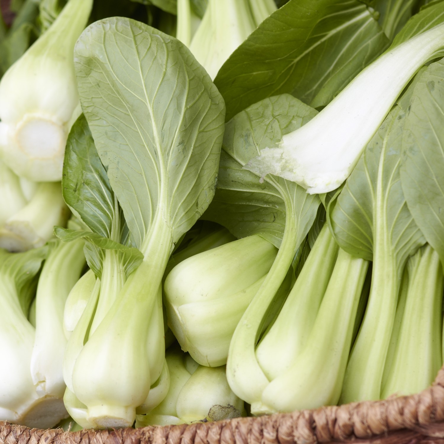 Asiasalat Pak Choi Samen