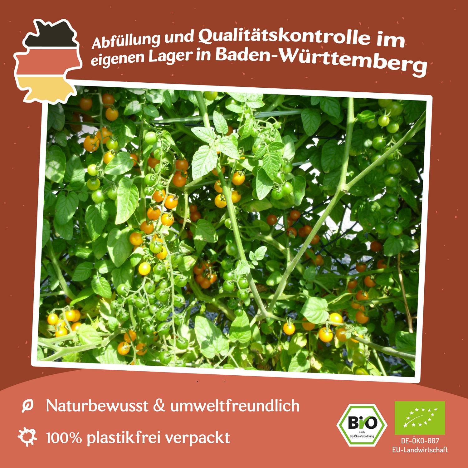 Gelbe Johannisbeere Bio-Tomatensamen