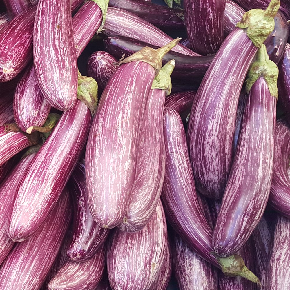 Aubergine Tsakoniki Samen