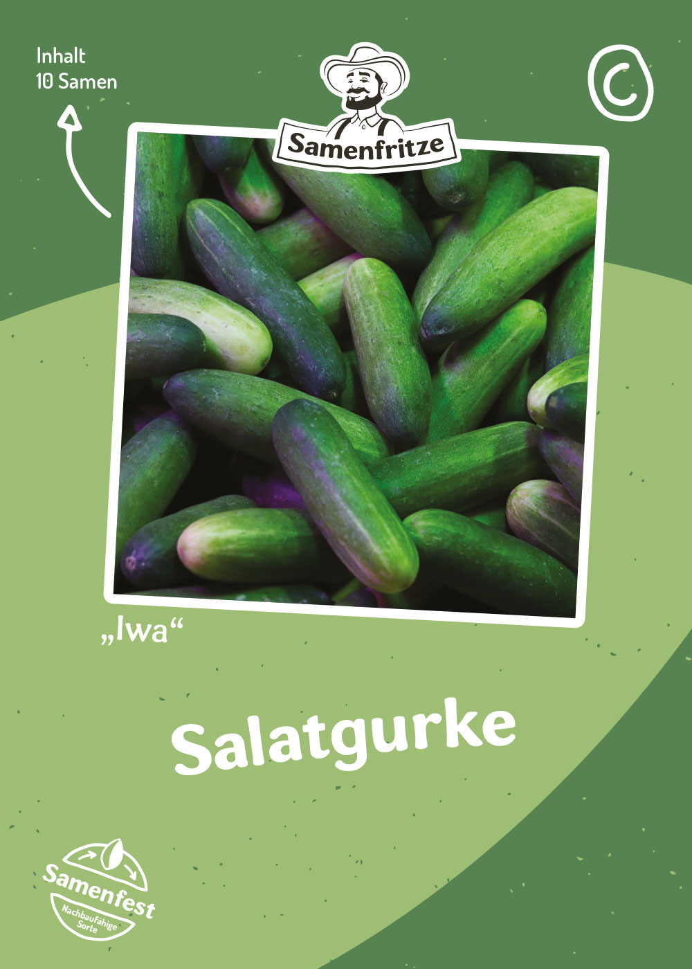 Salatgurke Iwa Samen