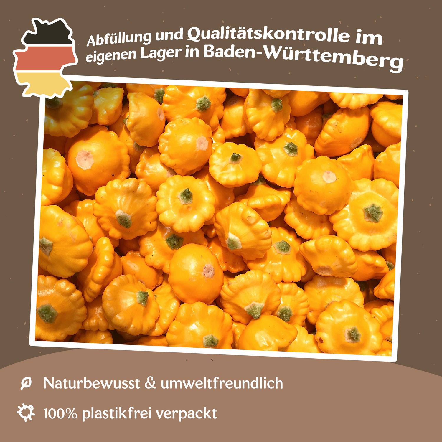 Kürbis Patisson orange Samen