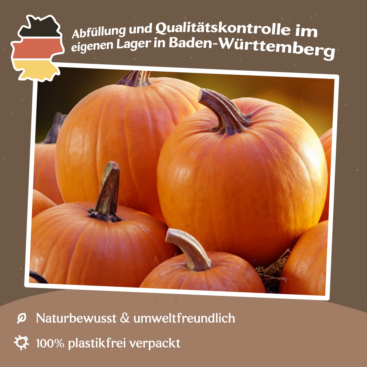 Halloweenkürbis Jack O`Lantern Samen