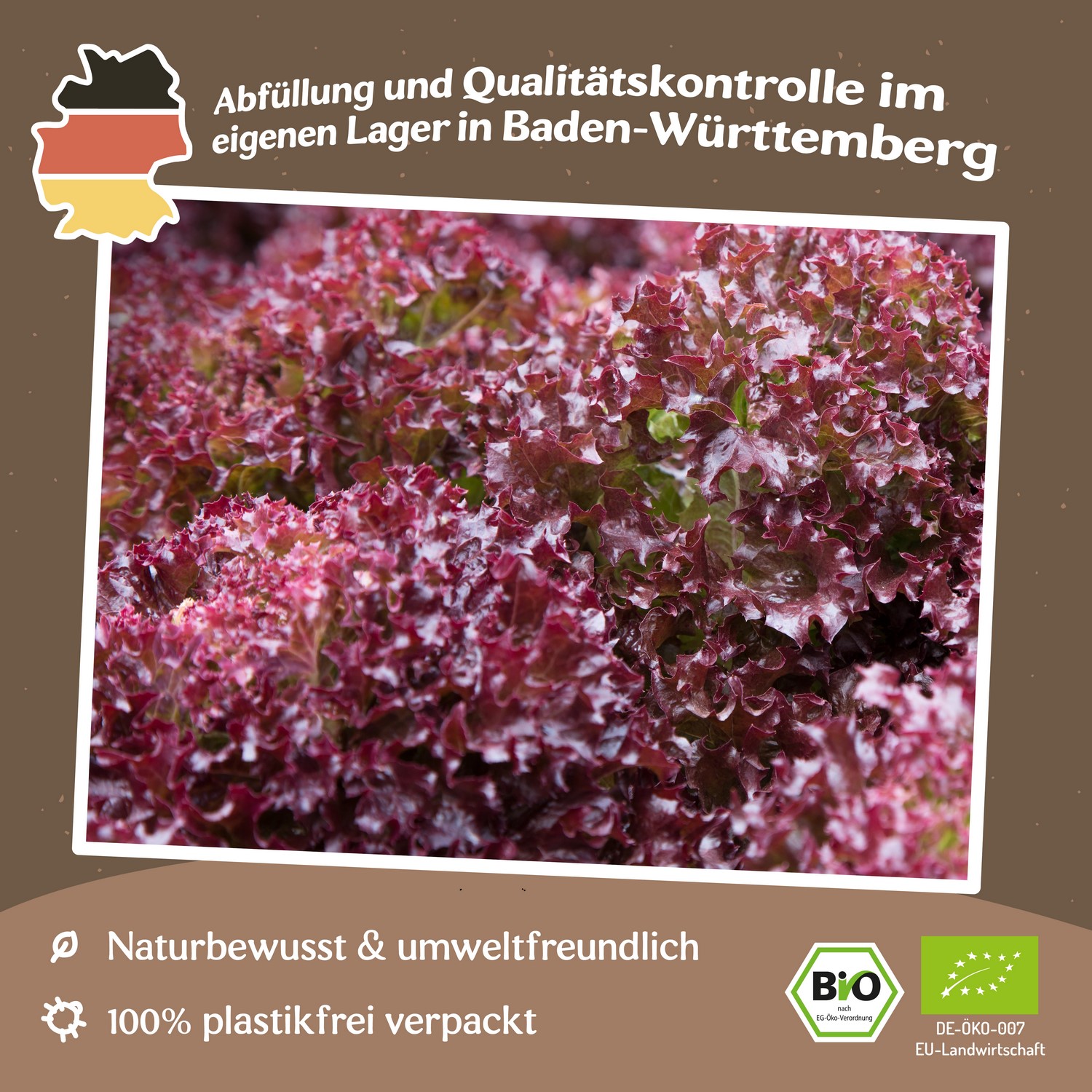 Bio-Pflücksalat Lollo Rossa Samen 